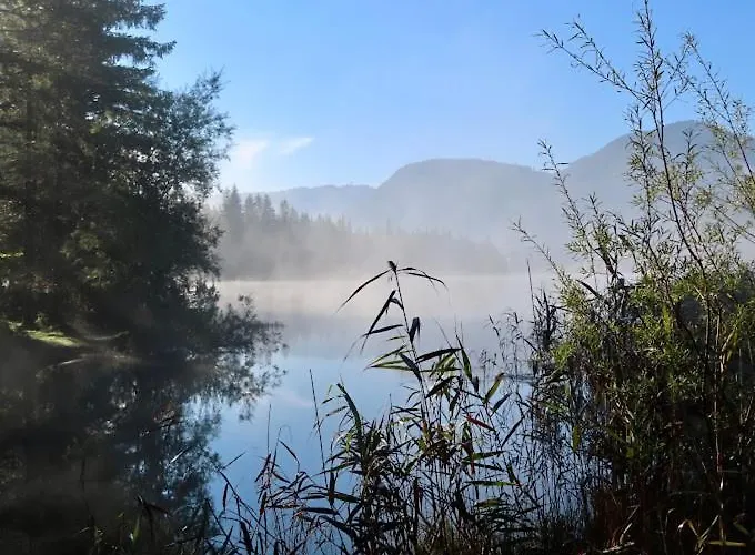 Millinger וואידרינג