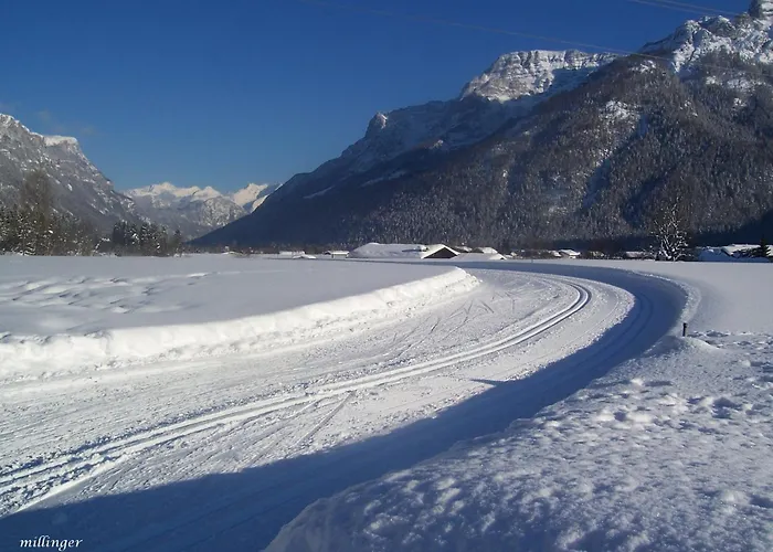 דירה Millinger וואידרינג